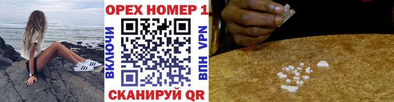 Cocaine Fish Scale  Купить закладки  Ельня 