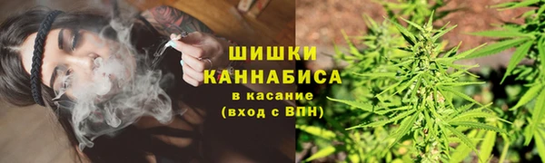 Альфа ПВП Инта