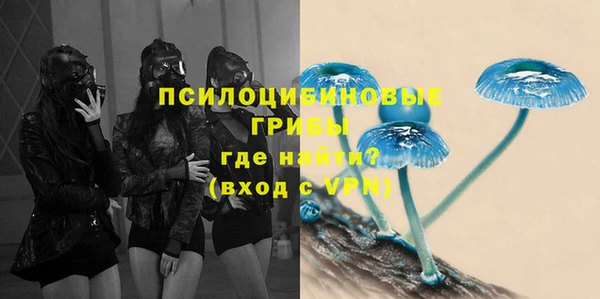Альфа ПВП Инта