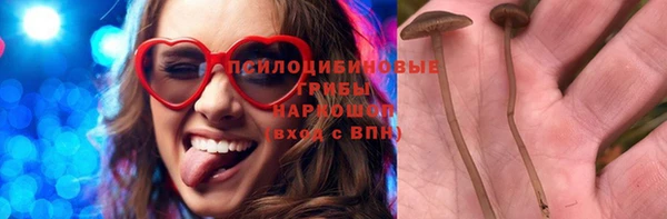 соль курить ск Инсар