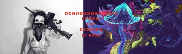 соль курить ск Инсар