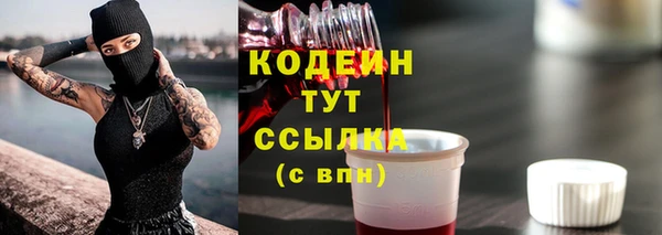 Альфа ПВП Инта