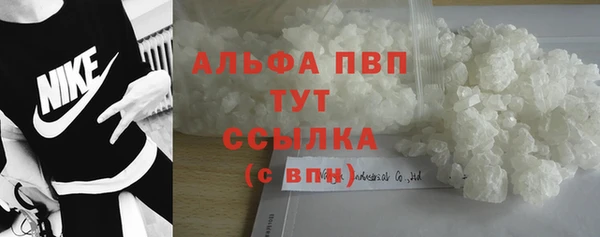 Альфа ПВП Инта